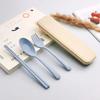 Tableware Set - Spoon, Chopstick, Fork with Storage Case and Goodie Bag, Children Day Gift, Wheat Straw