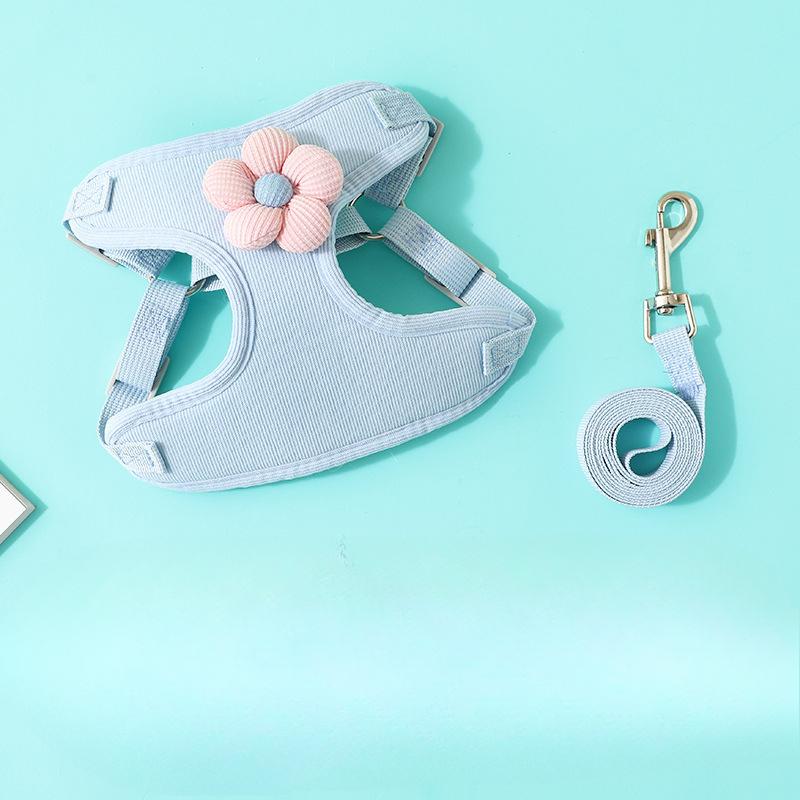 Welpenleine, Hundeweste, Kleiner Welpe Teddy, Bichon Frise, Bichon Frise Geschirr Kette, Gassi gehen