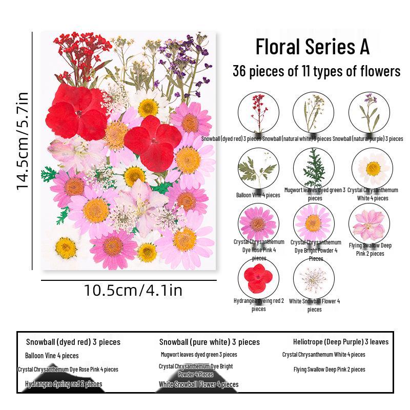 DIY Dried Flower Specimen Sticker Set for Kids: Handmade Pressed Flower Frames & Resin Bookmark Craft Kit