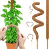Jardinagem e paisagismo – Suporte de plantas