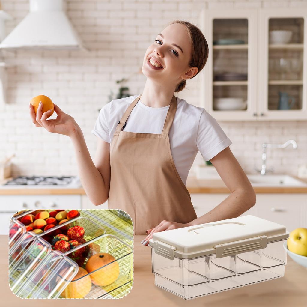 Portable Snack Box Container With Ice Pack, 4 Large Compartment Refrigerated Travel Tray With Lid For Outdoor Parties, Picnics