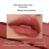 Shipeini Matte Long-Lasting Lipstick