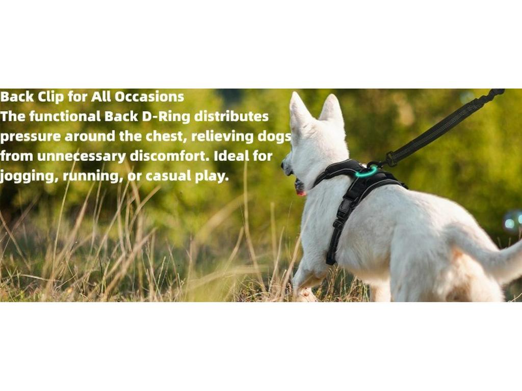 Dog Nylon Chest Harness and Leash for Large Pets