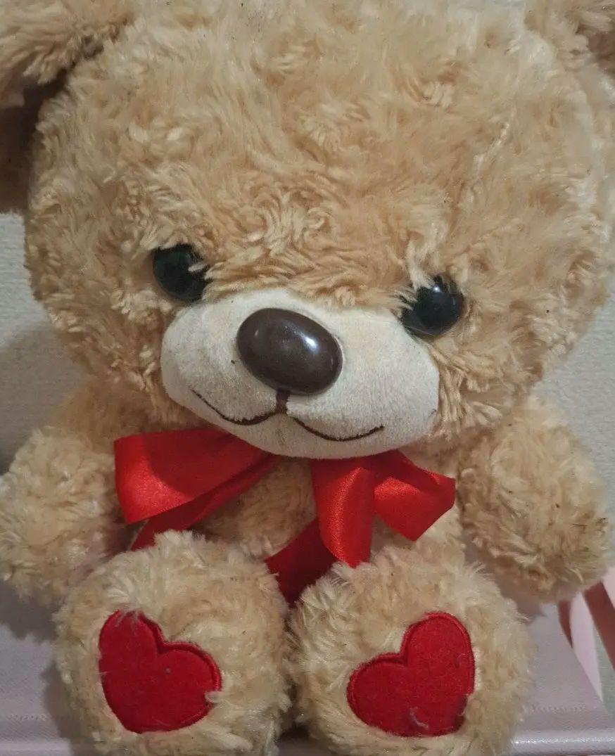 

[USED] Super Cheap! Beige Teddy Bear with Heart