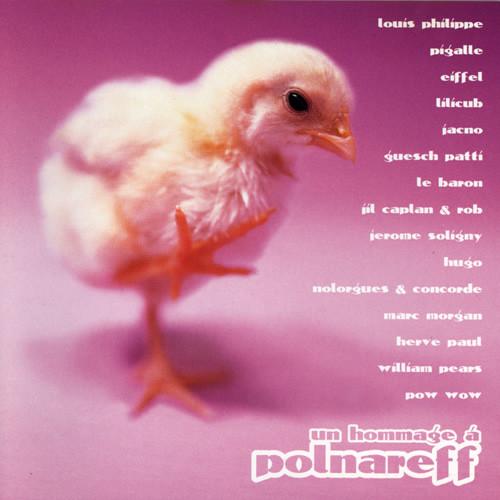 

CD VARIOUS - Un Hommage a 5209942 XIII BIS Record 1999 France Rock Used