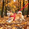 No Pull Dog Harness Breathable Mesh Padded Dog Harness Adjustable Reflective Escape Proof Dog Harness for Small Medium Large Dogs
