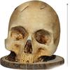 Halloween Skull Knife Holder Cutlery Stand Resin Ornament - Festive Horror Decoration Creative Tabletop Decoration for Halloween