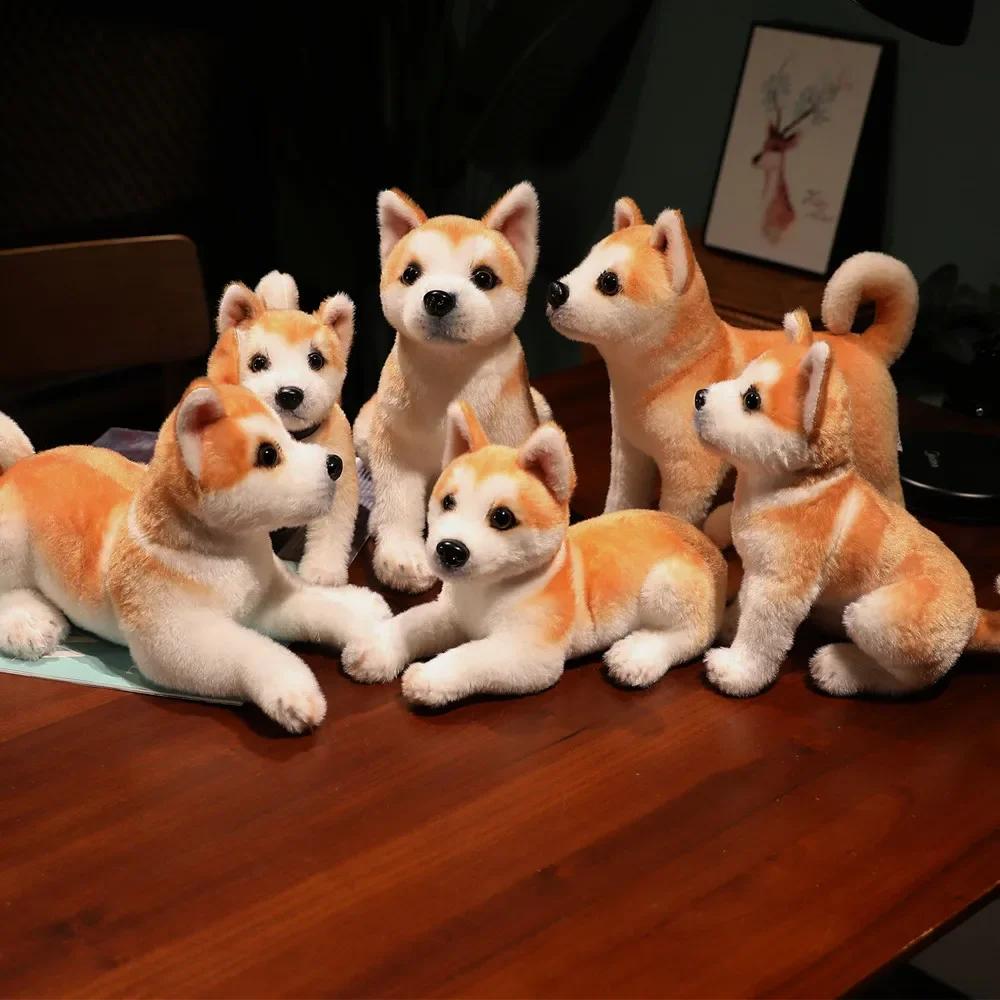 Hot new Akita dog plush toy Cute simulation dog Shiba Inu fluffy soothing girl doll birthday gift car