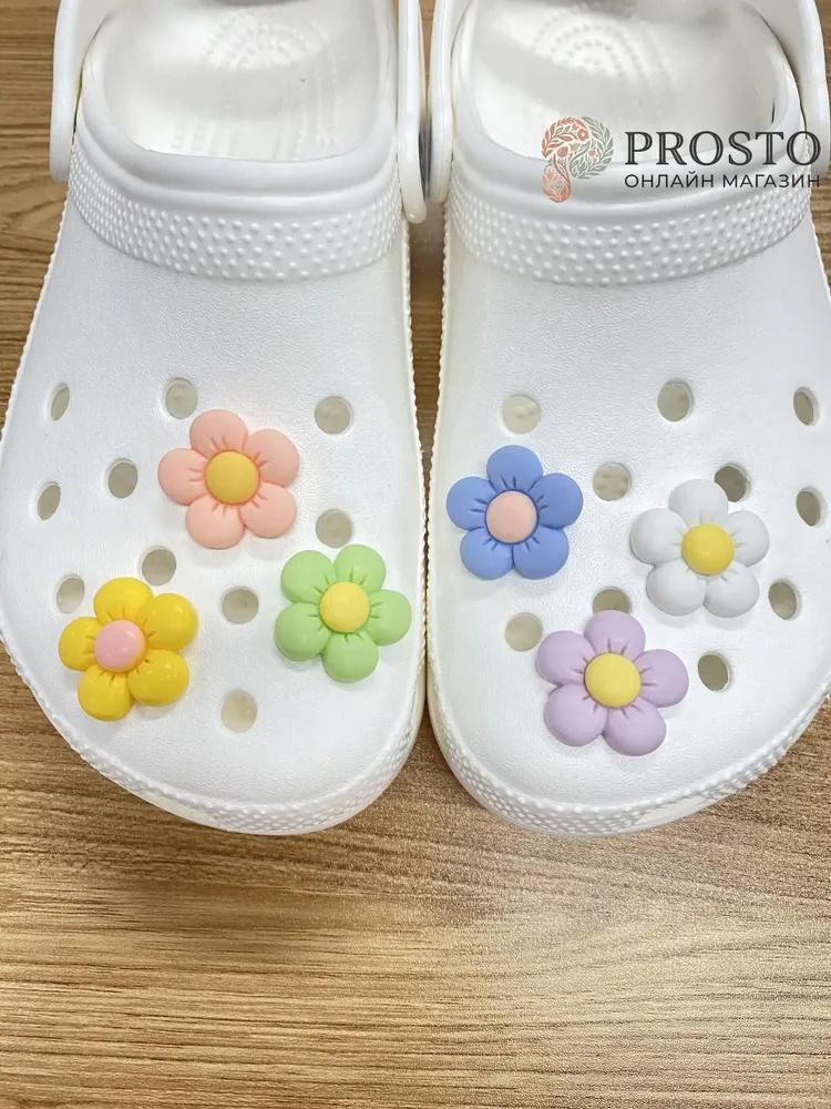6 Pack Shoe for, Cute Designs