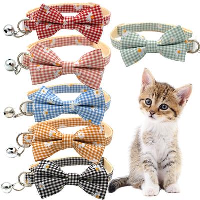Perros – Collares y correas