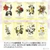 [Includes Japanese Instruction Manual] Botanical Inspirations Deck Oracle Cards FLATLAND Authentic Product Flower Fortune Telling Flower Meanings