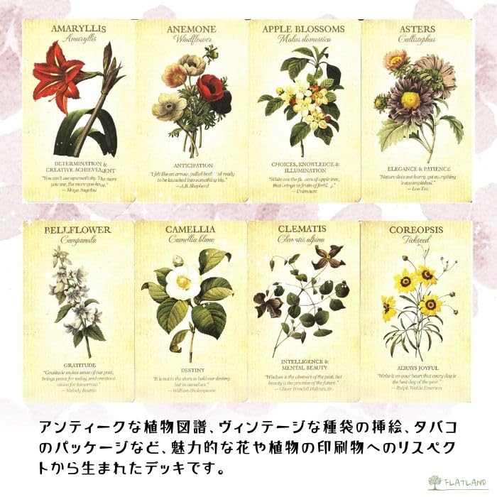 [Includes Japanese Instruction Manual] Botanical Inspirations Deck Oracle Cards FLATLAND Authentic Product Flower Fortune Telling Flower Meanings