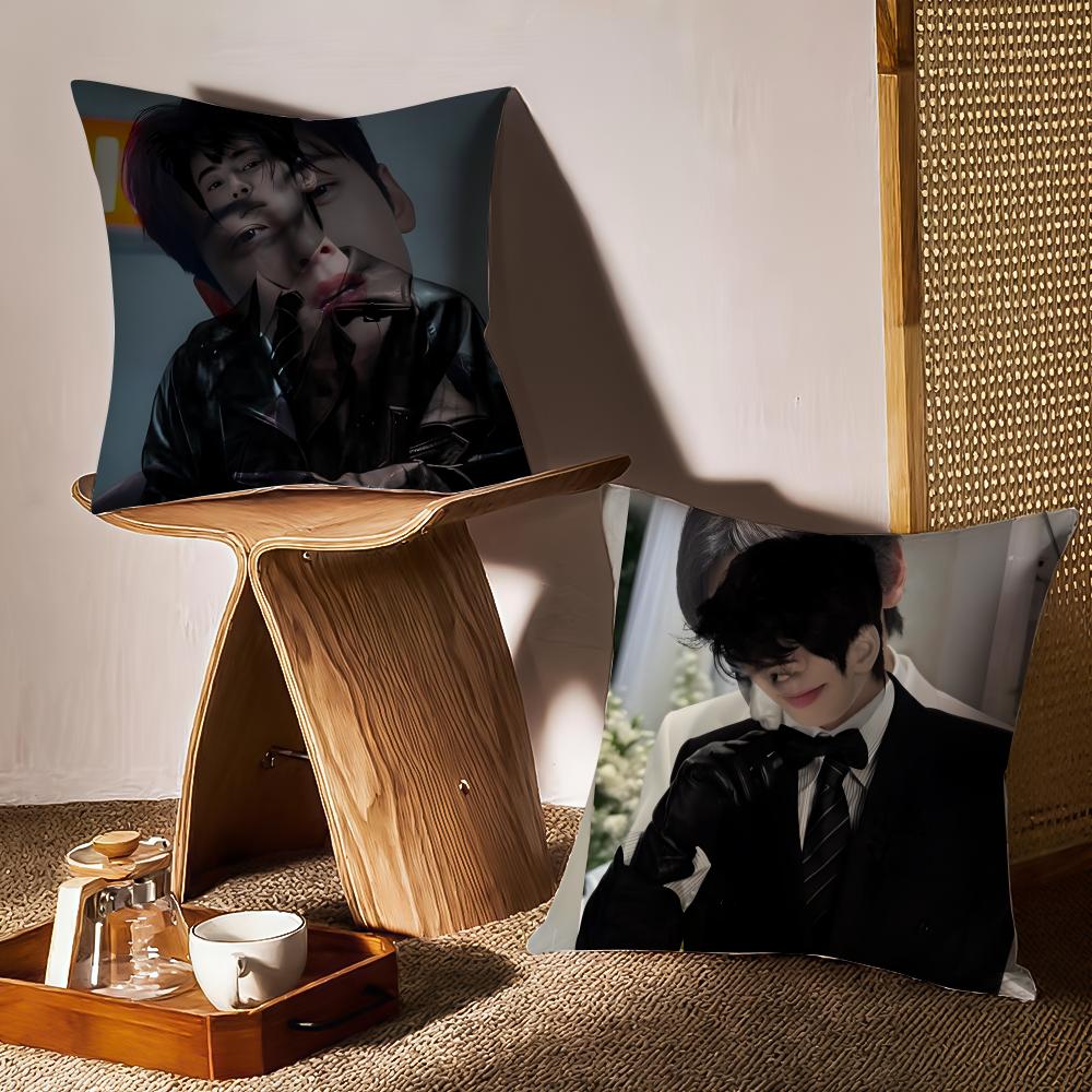Cha E-E-Eunwoo Actor Cushion Cover Pattern Printed Pillowcase For Living Room Sofa Cushion Cover & Bedroom Decor
