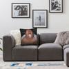 Ishowspeed Face Meme Pillow Case Cute Funny Pillow Cover Square Pillowcases For Living Room Bed Chair
