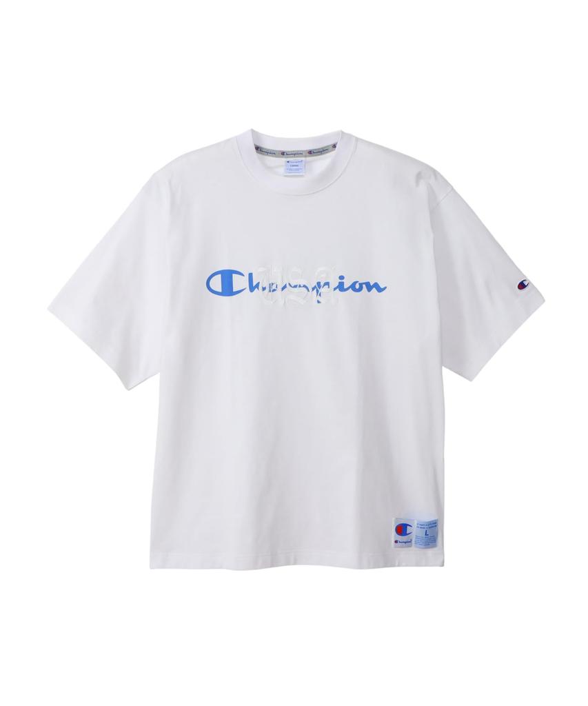Champion Short Sleeve Crew USA Graphic Logo Garment Wash Men's T-Shirt, White, C3-B314, Neck, 100% Cotton, Made, Print, Embroidered,