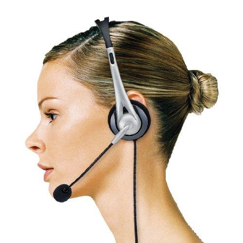 SANWA SUPPLY USB Headset/Headphones, Wired, Omnidirectional Microphone, Lightweight, Compatible with Skype, Zoom, and Teams, Silver (MM-HSUSB16SV)