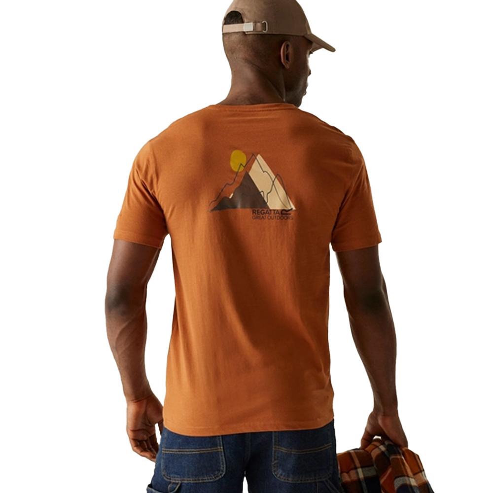 Regatta Mens Cline IX Mountain T-Shirt