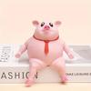 Squeeze Piggy Toy, Pink Pig Squishy Toy, Cute Pig Sensory Stress Toy, Funny Stretch Animal Stress Relief Pink Pig Toy for Kids and Adults
