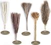 Yunnan Small Reed Dried Flower Bouquet Small Whisk Small Pupa Reed Grass Dried Reed Rabbit Tail Grass