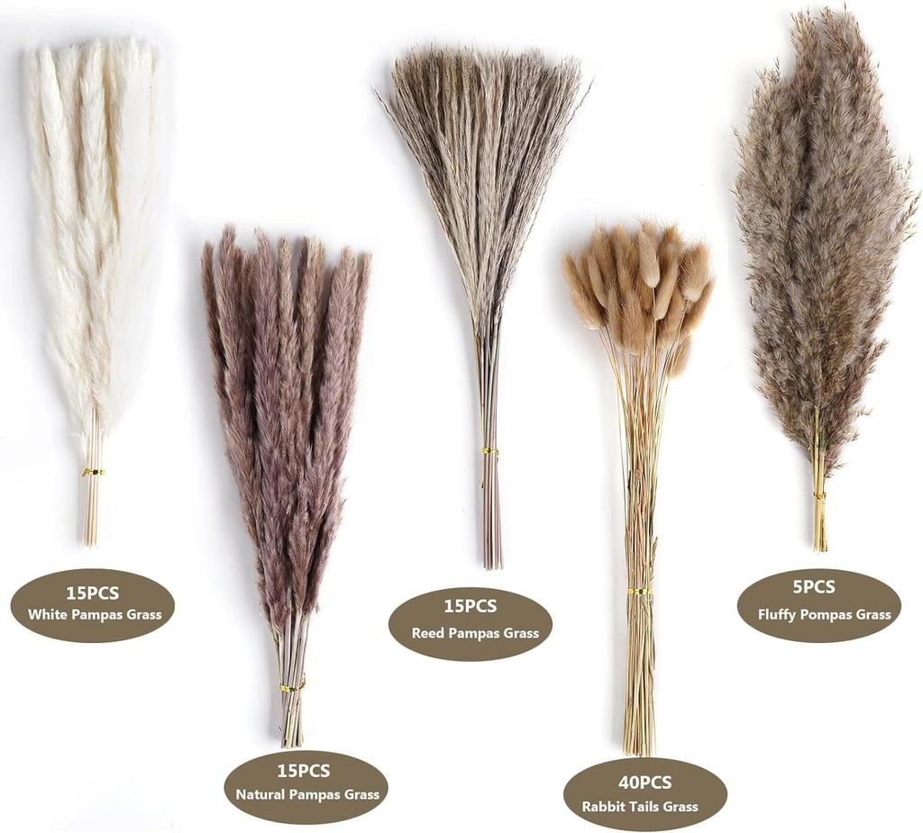 Yunnan Small Reed Dried Flower Bouquet Small Whisk Small Pupa Reed Grass Dried Reed Rabbit Tail Grass