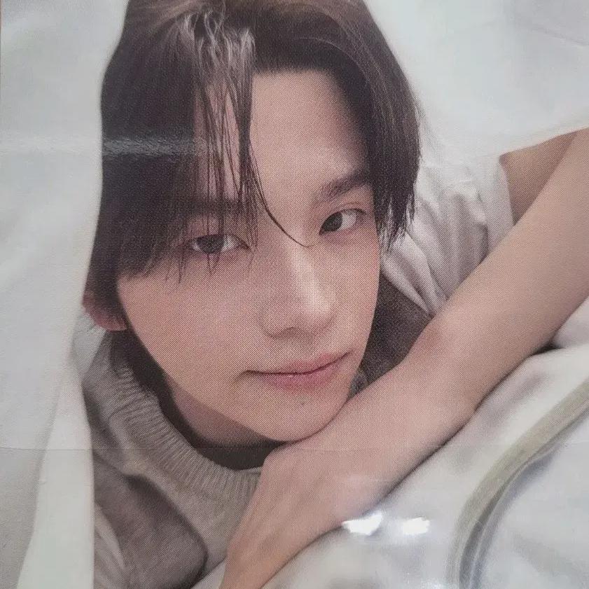 Tours Shinyu Photocard