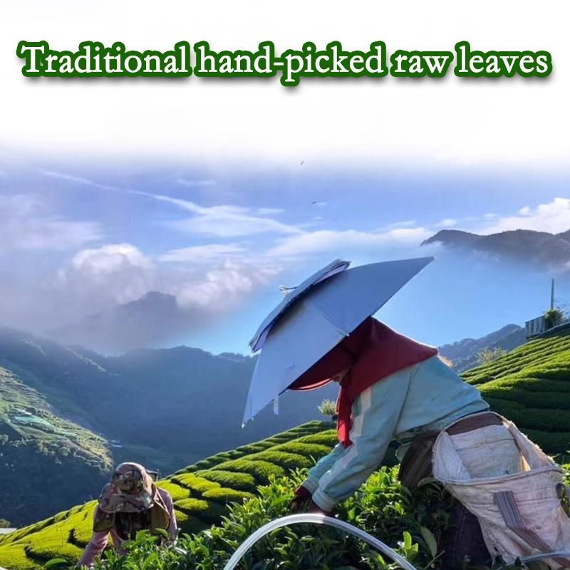 Milk Oolong Tea Oolong Milk Tea Jinxuan Oolong Tea Milk Doft Oolong Tea Taiwan High Mountain Oolong Tea Lösblad Oolong Tea Lösblad