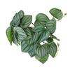 Reptiles Simulation Leaves Decoration 9.8in Fake Leaves with Powerful Suction Cup for Aquarium