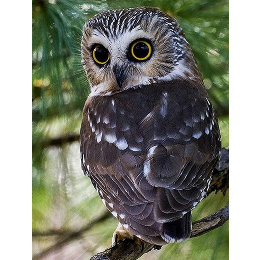 Full Square/Round Diamond Painting Mountain Landscape Mountain Pictures of Rhinestones 5D Diamond Embroidery Tiger Deer Animal Mosaic Wall Art