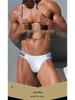 High-Cut Low-Rise Sport Briefs for Men's Fashion & Comfort