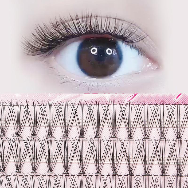 60 Bündel/Box 10D 0,1 mm Wimpernverlängerung Einzelwimpern Natürlicher Stil Einzelwimpern Handgefertigte Wimpernbündel