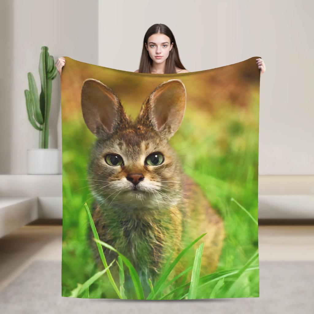 Internetberühmte Meowl Katze Eule Meme Decke Reise Flanell Überwurf für Wohnkultur Warm Benutzerdefiniert DIY Tagesdecke Geburtstagsgeschenk
