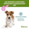 Friandise - WHIMZEES - Bâtonnet À Mâcher - Hypoallergénique - Dentaire - Petit Chien