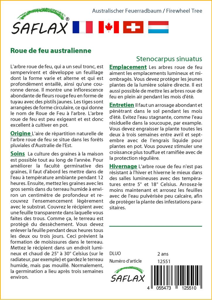 SAFLAX Firewheel Tree - 20 semen - Se substrátem pro lepší pěstování - Stenocarpus sinuatus
