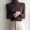 Casual Solid Basic Knitted Blouse Women Elegant Turtleneck Long Sleeve Tunic Auturm Bottoming Pullover Tops  new