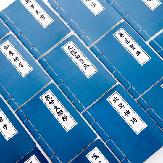 Vintage Chinese Scriptures Martial Arts Kongfu A5 Notebooks Stationery Supplies