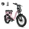 AVDL T7 20 Inch Fat Tire Electric Bicycle for Adults 250W Powerful Motor 48V 18Ah Large Capacity Battery All Terrain E-Bike for Outdoor Riding