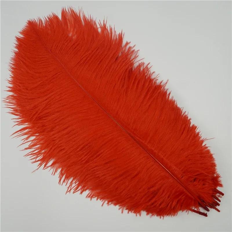 Fai da te 10 pezzi di piume di struzzo colorate da 20-55 cm, adatte per centrotavola nuziali, maschere di carnevale, decorazioni artigianali e wi