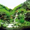 Ornament Aquarium Green Water Grass Plastic Artificial Plant Fish Tank Landscape Decor