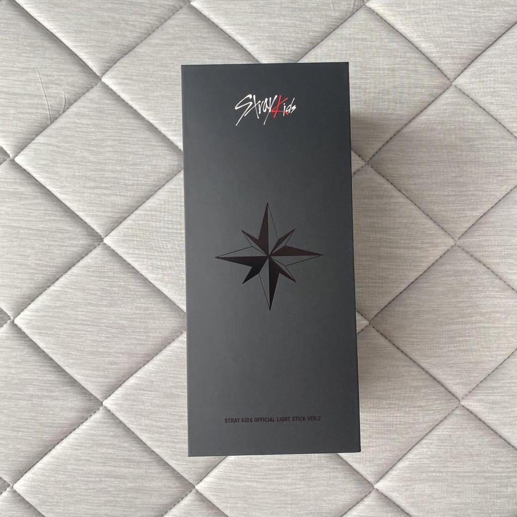 [USED] stray kids penlight