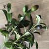 Seasonal Botanical Accents for Shelves Faux Olive Branches Vase, Artificial Tree Branches, DIY Fake Realistic Greenery Plants, Stems, Floral