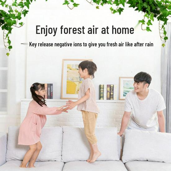 Home Air Purifier: Odor, Dust, Pet Hair, Smoke & Formaldehyde Removal with Negative Ions