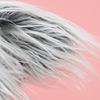 Cosplay Head Wrap Thicken Furry Wolf Hat for Climbing Skiing Sports Headwear