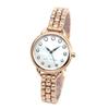 MARC JACOBS Wristwatch #MJ3511