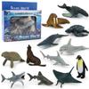 Children's Teaching Aids Knowledge and Knowledge Learning Cards 12 Hand-painted Dinosaurs Marine Animals Science and Education Model Toys