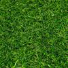 Artificial Grass Turf