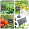 SALUDABLE Gardening Labels Black Name Plate Stone Plate Gardening Flower Bed Garden Picks 16pcs