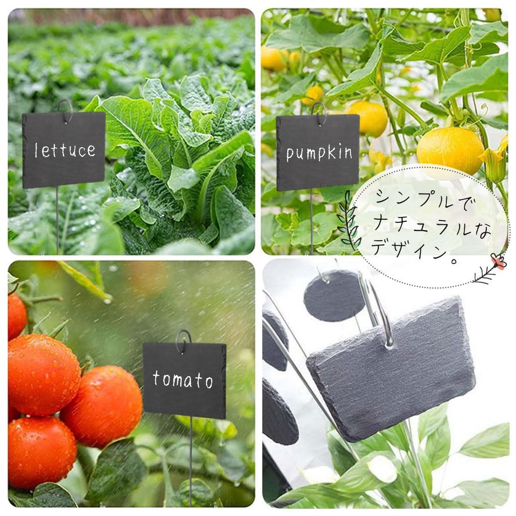 SALUDABLE Gardening Labels Black Name Plate Stone Plate Gardening Flower Bed Garden Picks 16pcs