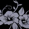 18.8x18 Decorative Decal