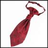 [White Fang] Paisley Pattern Elegant Tie, Business Casual Fashion, Stylish Men's NC069 (Wine)