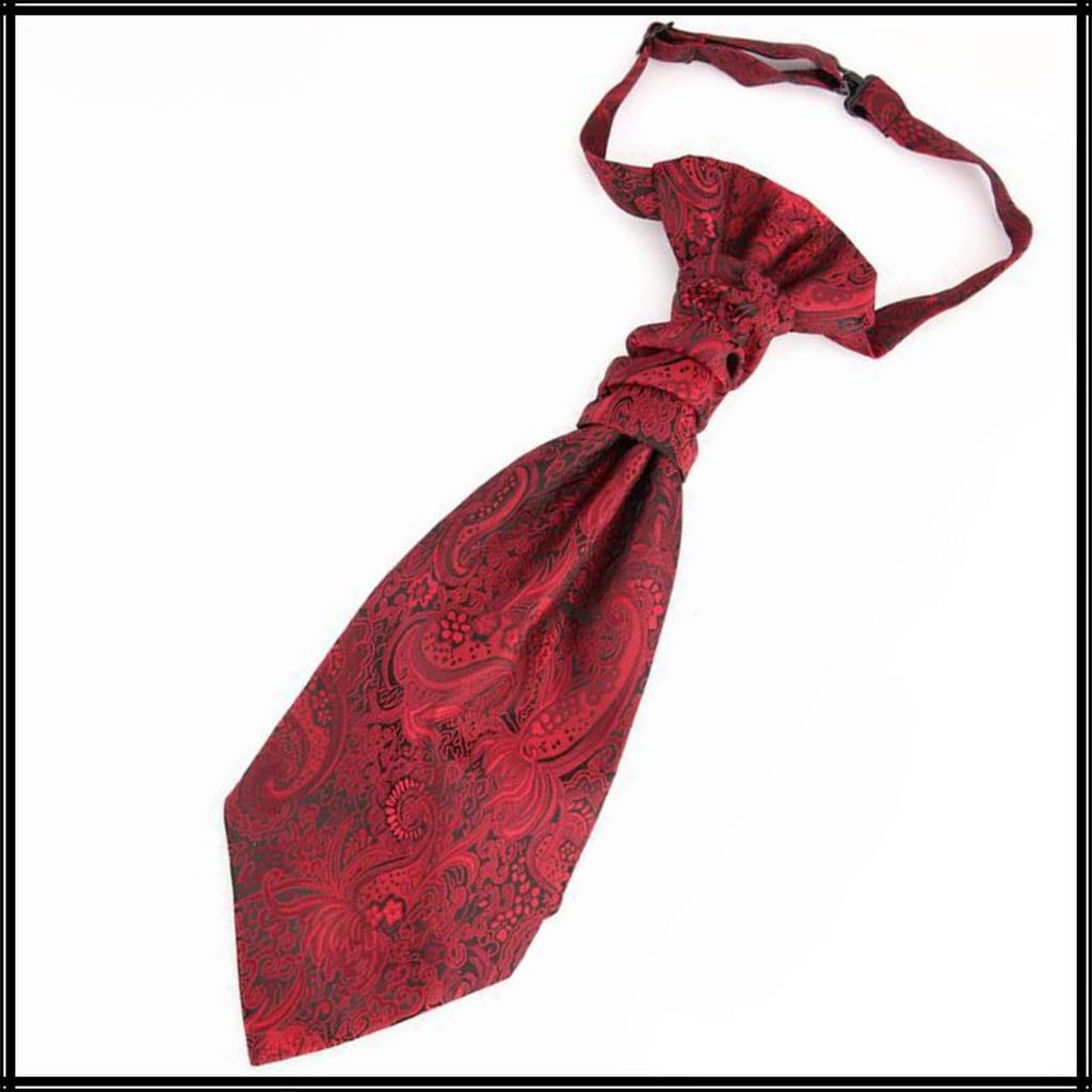 [White Fang] Paisley Pattern Elegant Tie, Business Casual Fashion, Stylish Men's NC069 (Wine)